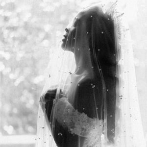 Pearl Cathedral Length Wedding Veil